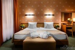 Hotel Victor Pruszków by DeSilva 10